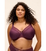 Elomi_EL4301_Fig_1