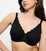 Triumph_10210670_0004_1