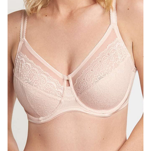 Triumph Sheer Lace Full Coverage