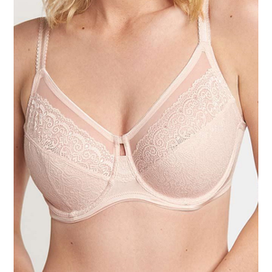 Triumph Sheer Lace Full Coverage