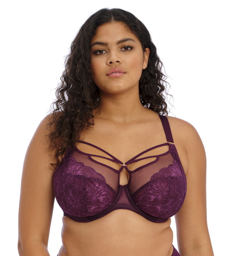 Elomi Brianna Plunge Bra Everyday Bras Style Bras Hot Gossip NZ Elomi