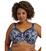 Goddess_GD6162_TealBlosso