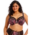 Elomi_EL4110_DAE_1