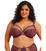 Elomi_EL8900_Sugarplum_1