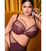 Elomi_EL8900_Sugarplum_5